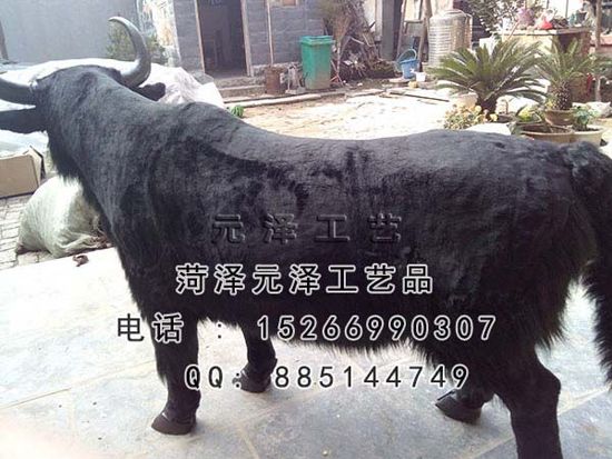 20153281819160.jpg