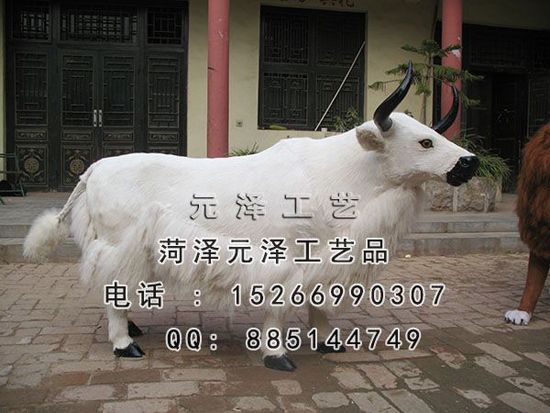 20153271747120.jpg