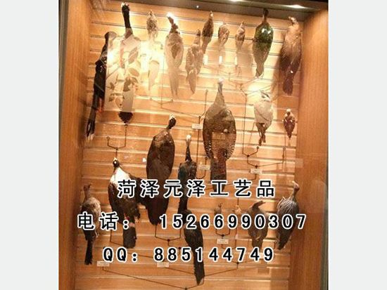 20171181111560.jpg