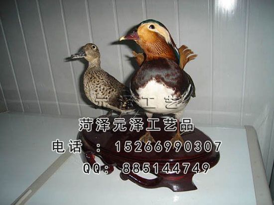 20153271821200.jpg