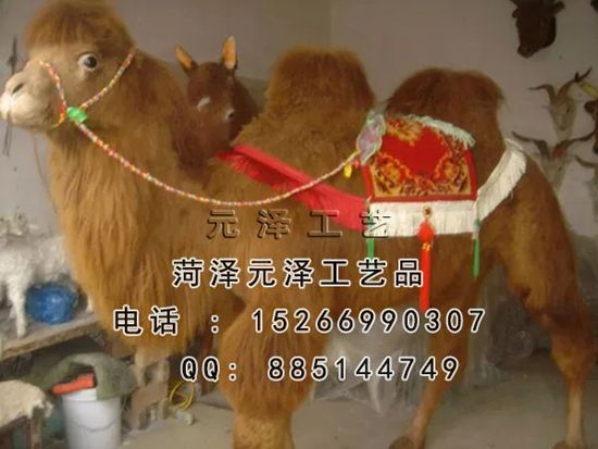 20153301644550.jpg