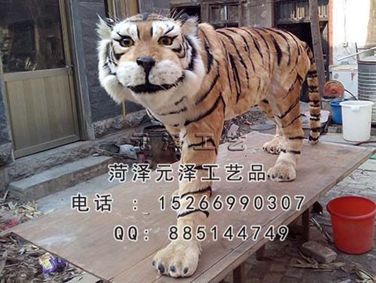 2015329819240.jpg