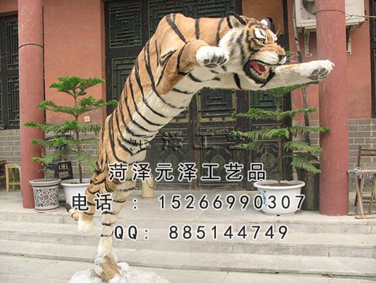 2015328812220.jpg