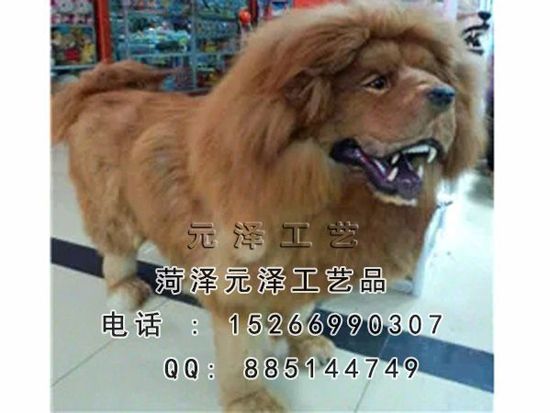 20154131437130.jpg