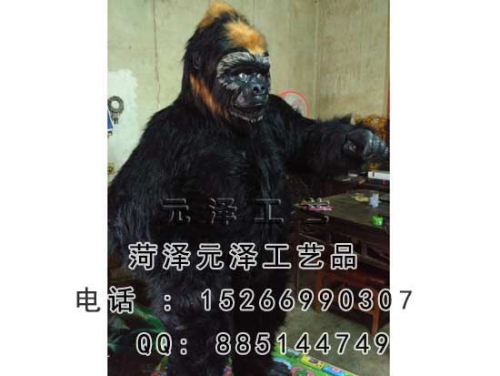 20161013113570.jpg