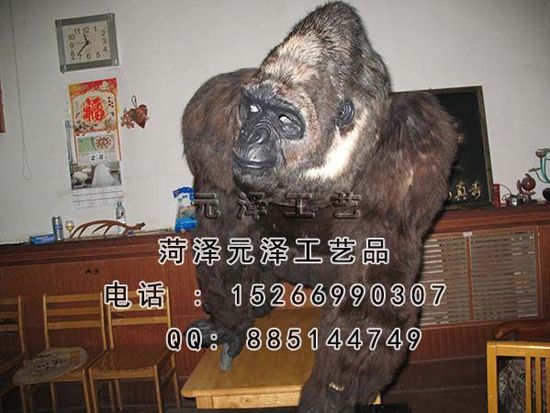 20153281811430.jpg