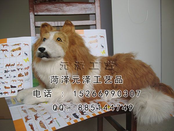 2015327172930.jpg