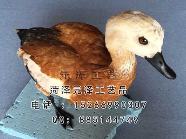 201510211016350.jpg