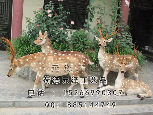 201510261153130.jpg