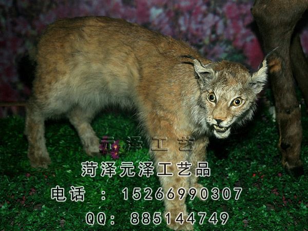 201510261153560.jpg