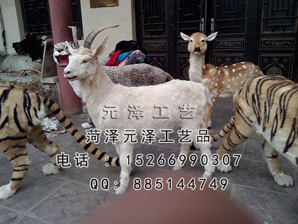 20153271819530.jpg