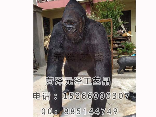ed7cfb200353950111f49262795be4d.jpg