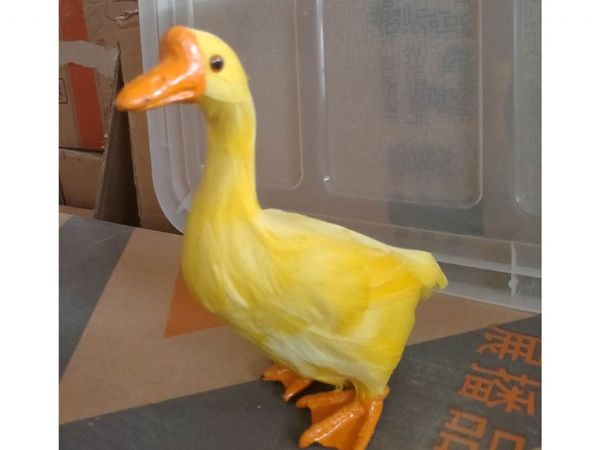 戳我试试