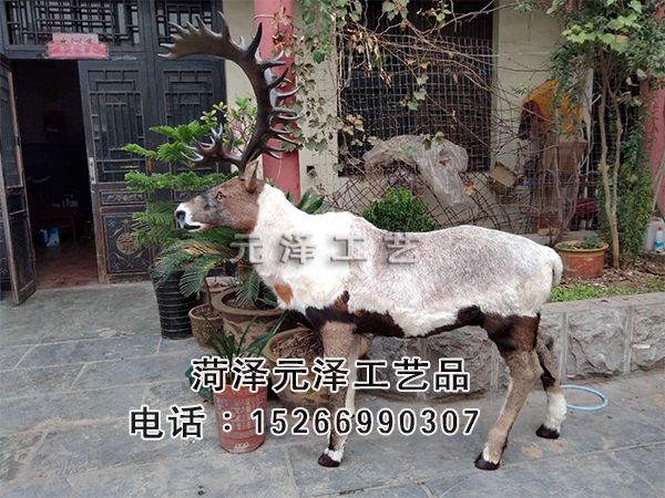 微信图片_2020101411481423.jpg