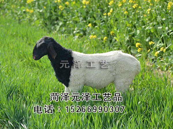 微信图片_202205181053254.jpg