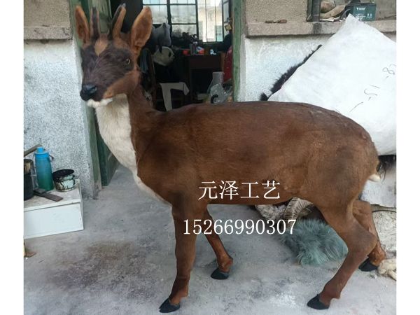 微信图片_20240924171523.jpg