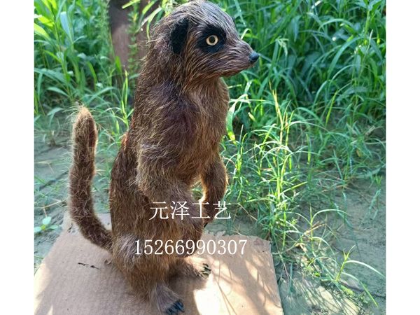 微信图片_20240924171527.jpg